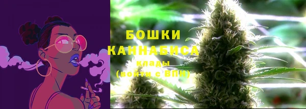 стафф Богородск
