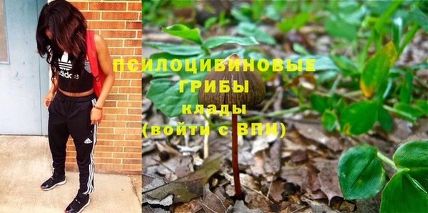 MDMA Богородицк