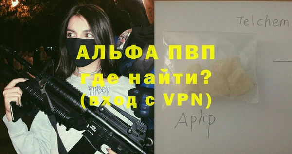 стафф Богородск